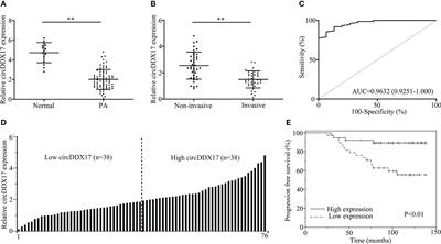 CircDDX17 inhibits invasive progression of pituitary adenomas by sponging miR-1279 and regulating CADM2 expression